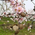 Sweet Formosa View شقة فارو