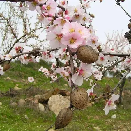 Sweet Formosa View アパート ファロ