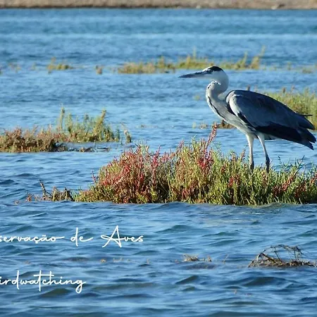 아파트 Sweet Formosa View