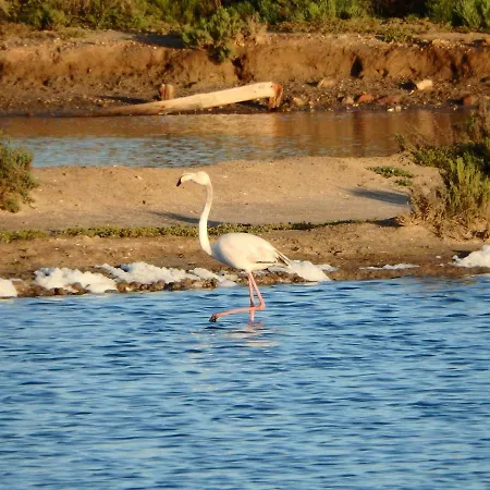 아파트 Sweet Formosa View *