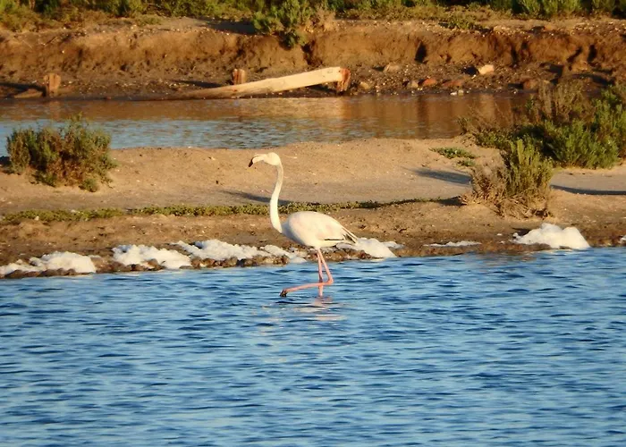 Apartament Sweet Formosa View *